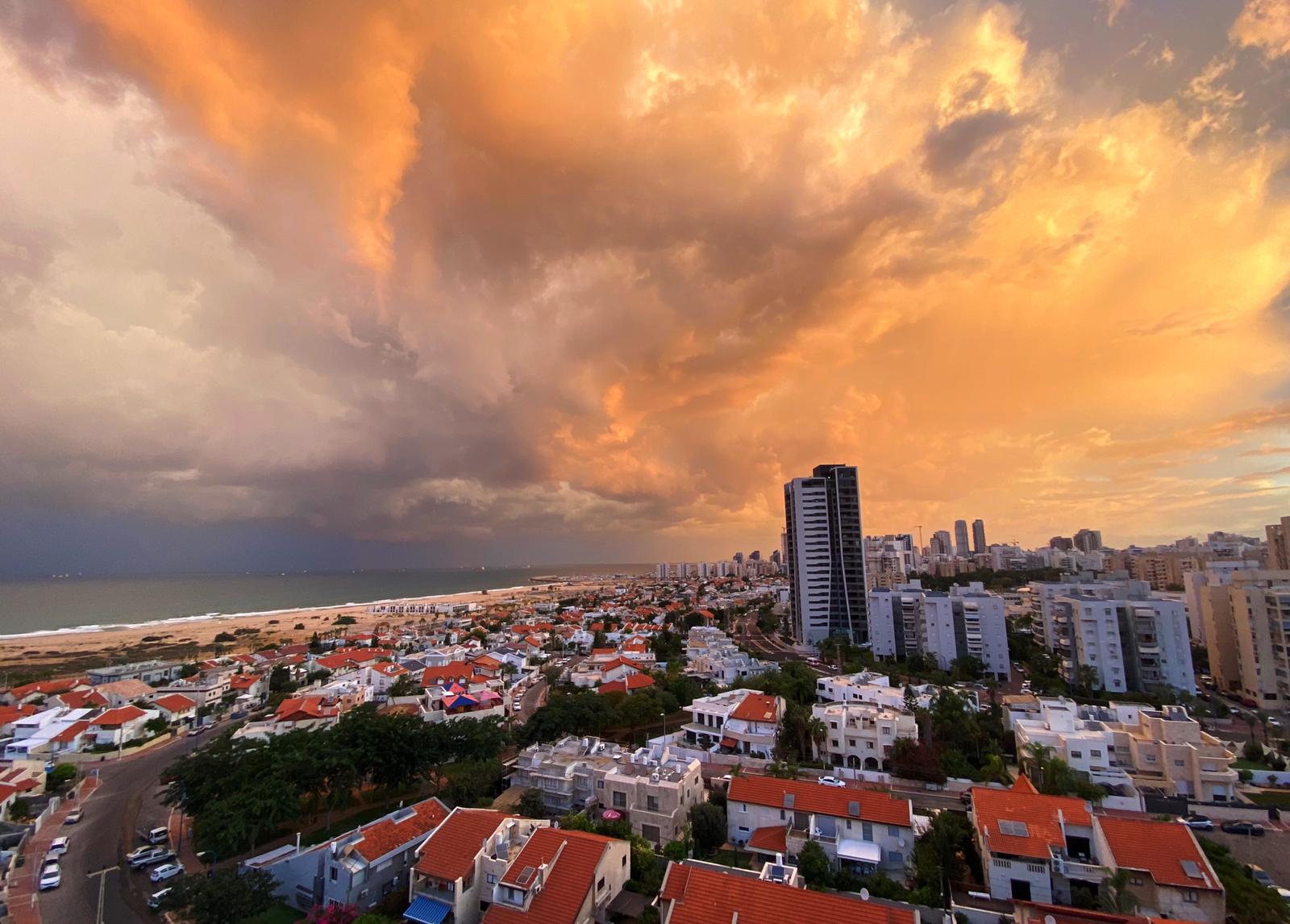 צילום: שמואל דוד