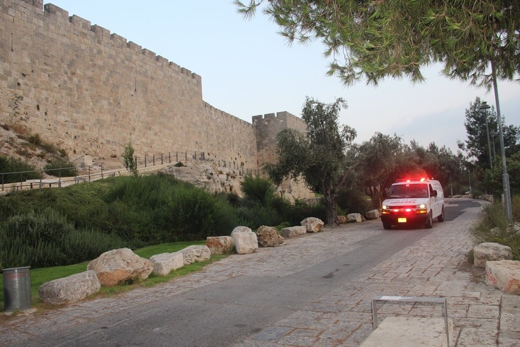 צילום: דוברות מד&quot;א