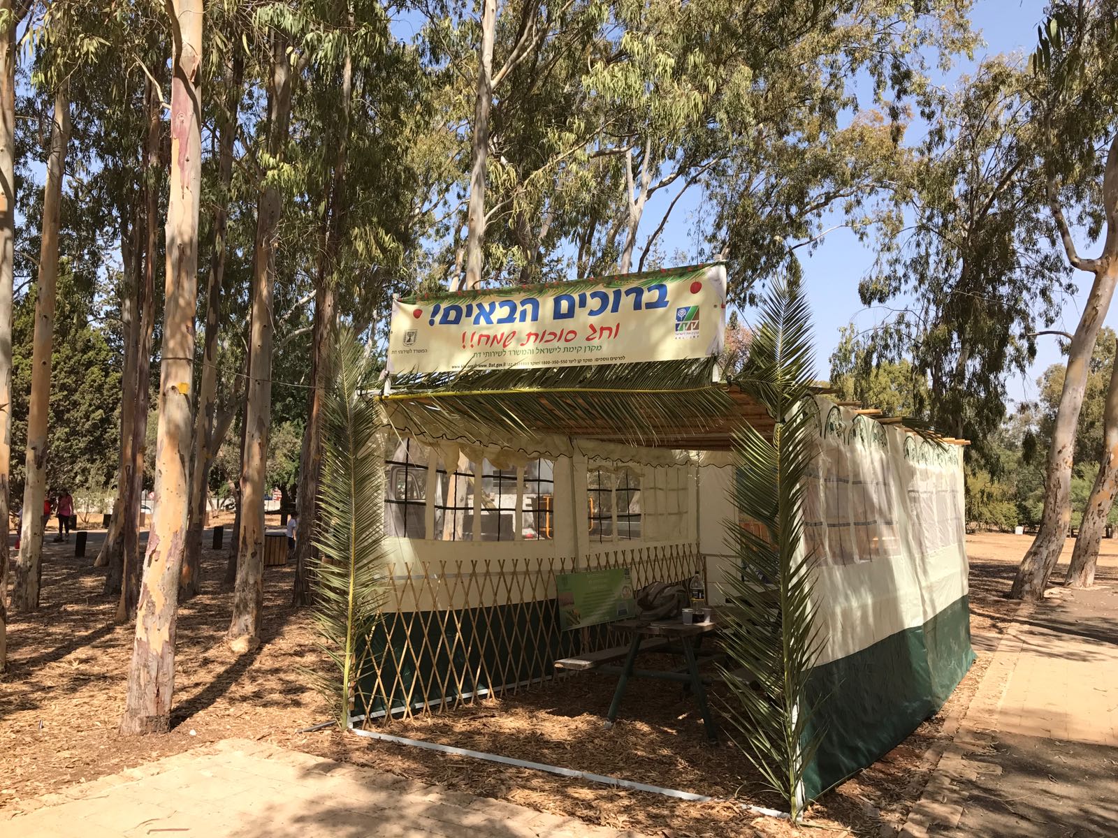 קרדיט: ארכיון הצילומים של קקל קרדיט: ארכיון הצילומים של קקל