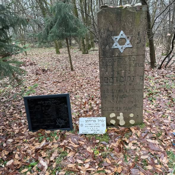 קריית החינוך השש שנתית ע"ש איינשטיין- ראשון לציון