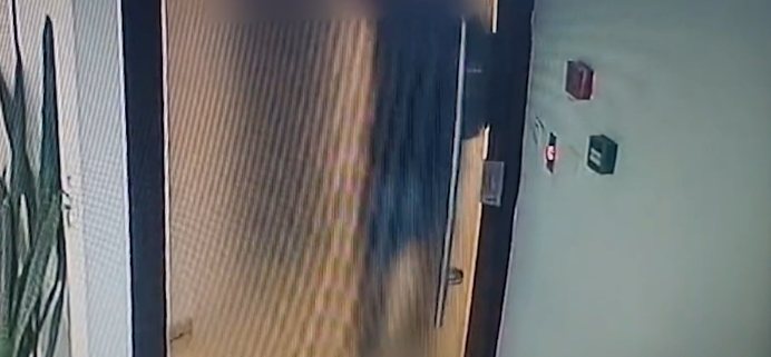 דוברות משטרה