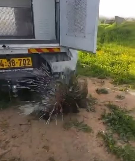 עיריית ראשון לציון