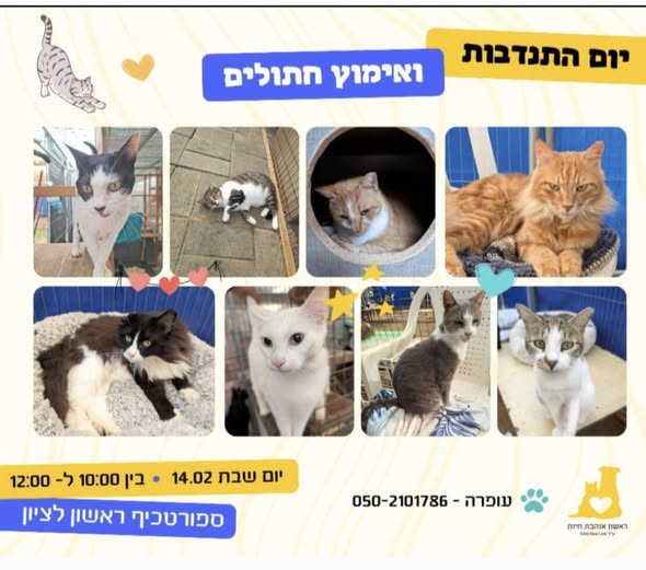 עיריית ראשון לציון