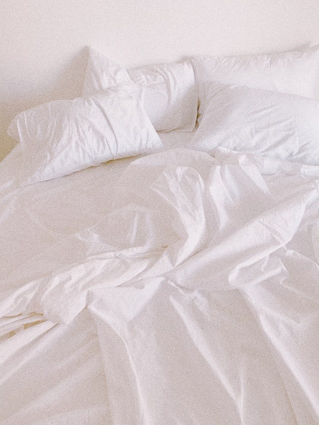 קרדיט- Photo by Elina Upmane on Unsplash