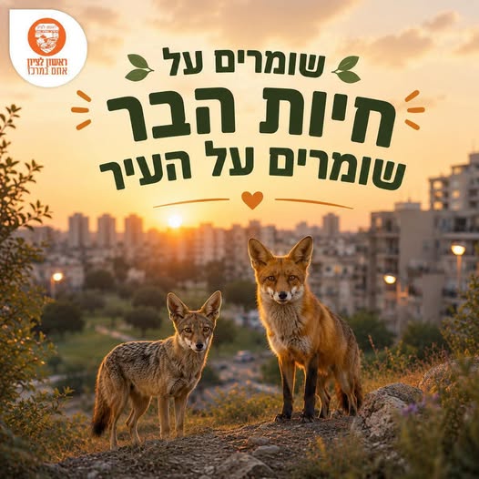 עיריית ראשון לציון
