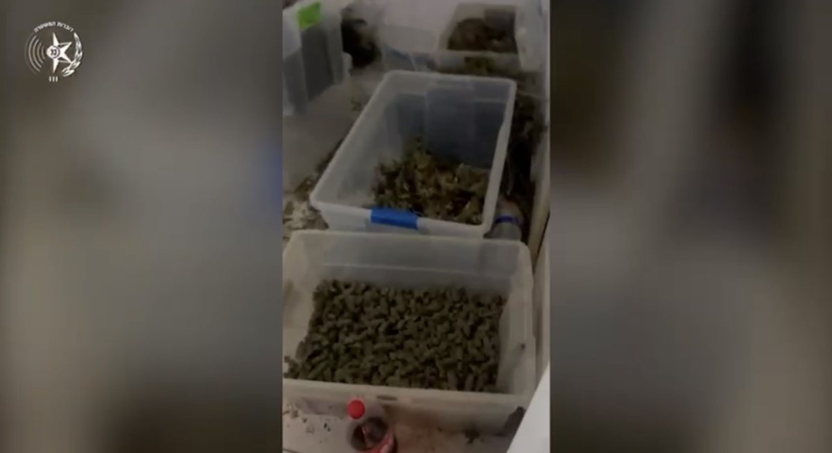 מתוך התיעוד בדירת הסמים (דוברות המשטרה)