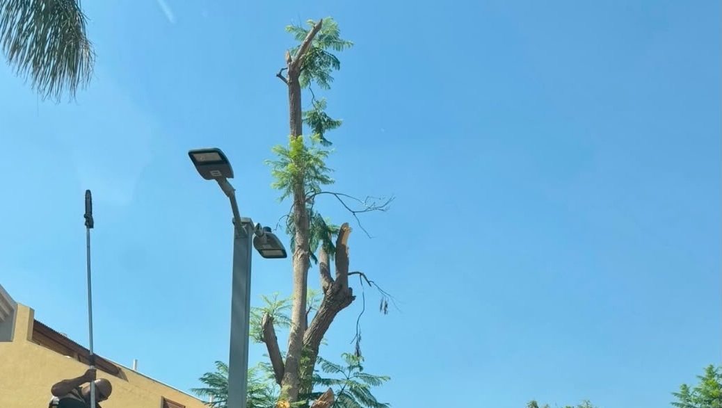 צילום: עיריית ראשון לציון