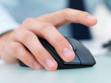 תמונה ללא תיאור