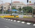 תמונה ללא תיאור