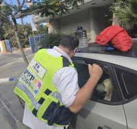 צילום: ידידים 