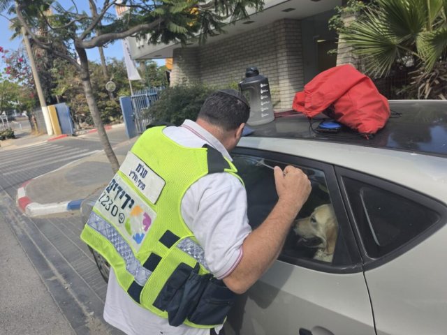 צילום: ידידים 