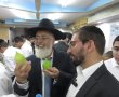 תמונה ללא תיאור