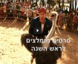 סרטים מומלצים לראש השנה: אוסף סרטים לצפייה ישירה בחג 
