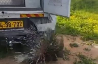 עיריית ראשון לציון