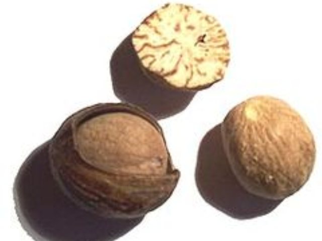 אגוז מוסקט - ויקיפדיה