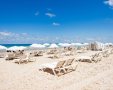 צילום: עיריית ראשון לציון