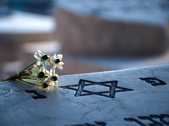קרדיט-Image by Ri Butov from Pixabay