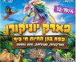 תמונה ללא תיאור