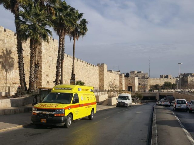 דוברות מד״א