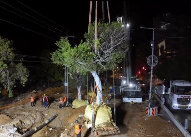 צילום: עיריית ראשון לציון