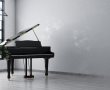 כמה עולה פסנתר כנף משומש?
