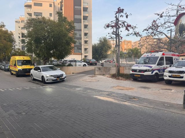 דוברות זקא