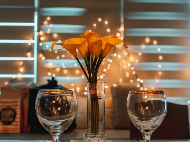 Photo by SJ  on Unsplash