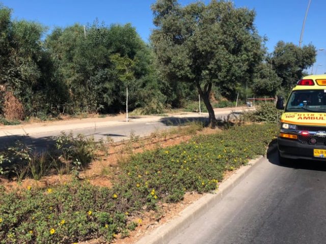 הזירה בה נמצאה האשה, הבוקרצילום: דוברות מד"א