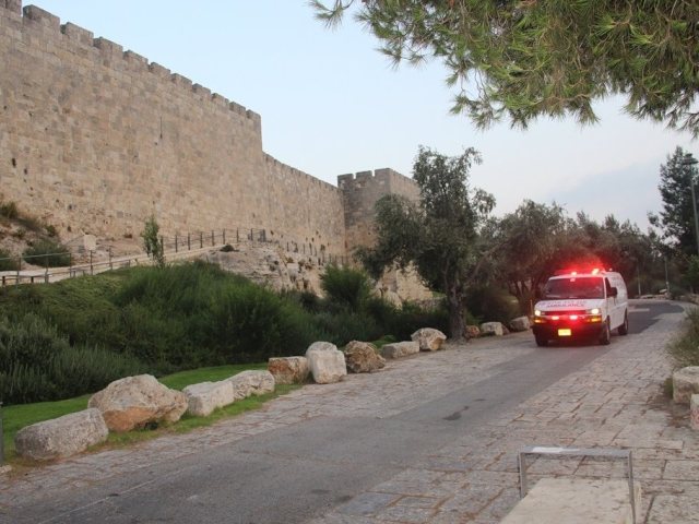 צילום: דוברות מד"א