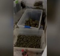 מתוך התיעוד בדירת הסמים (דוברות המשטרה)