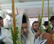 תמונה ללא תיאור