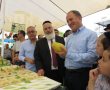 תמונה ללא תיאור