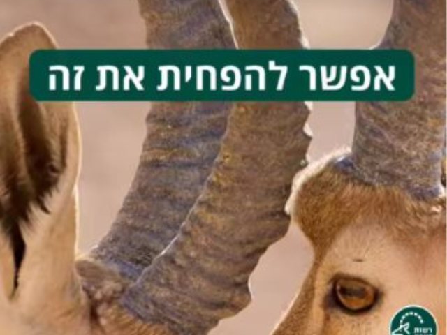 רשות הטבע והגנים