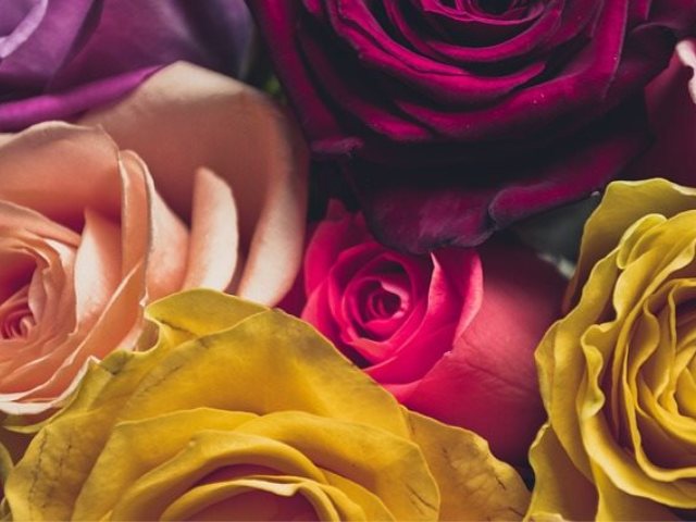pixabay