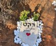 בית קברות לכלבים: איך נפרדים מחבר שהפך לחלק מהמשפחה