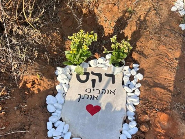 יח"צ ג'וני