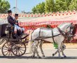 כזה לא ראיתם: העריק מעטרת שלמה התקבל בכרכרת מלכות - אבל לסוס היו תוכניות אחרות