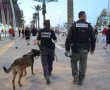 היערכות המשטרה למשחק בטרנר: כבישים ייחסמו, כניסה לאוהדי הפועל באר שבע בלבד