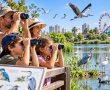הזדמנות אחרונה: סיורי צפרות בחינם לכל המשפחה באגמי ראשון לציון