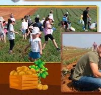 עיריית ראשון לציון
