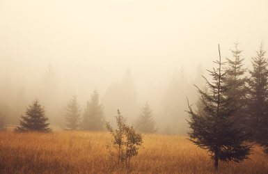 depositephoto אובך