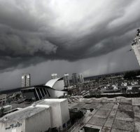 צילום: שמואל דוד