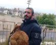 בדרך להר הבית: עשרה נעצרו עם גדיים שיועדו לקרבן פסח | צפו